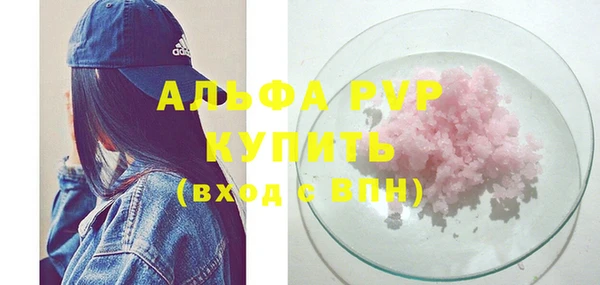 стафф Бородино