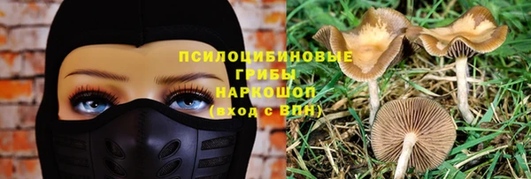 стафф Бородино