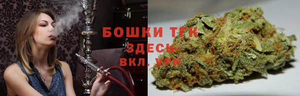 стафф Бородино